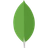 MongoDB